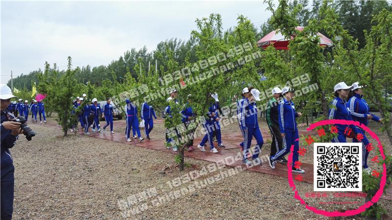 chifengtuozhan522.jpg